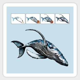 whale Sticker